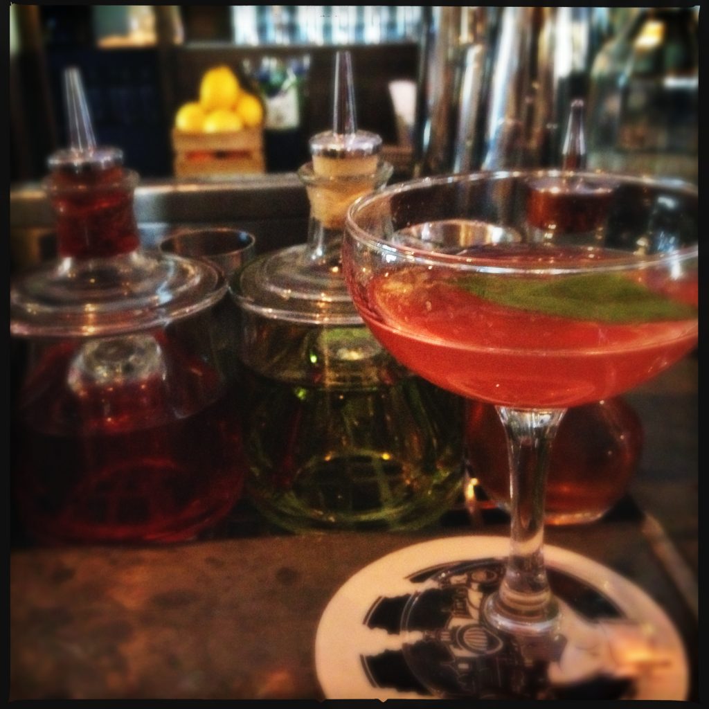 Salvia-Cosmopolitan.