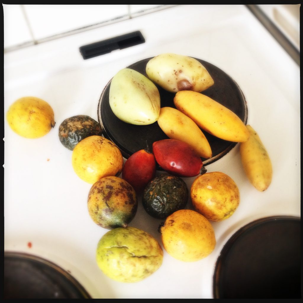 Frukt direkt från Madeira.