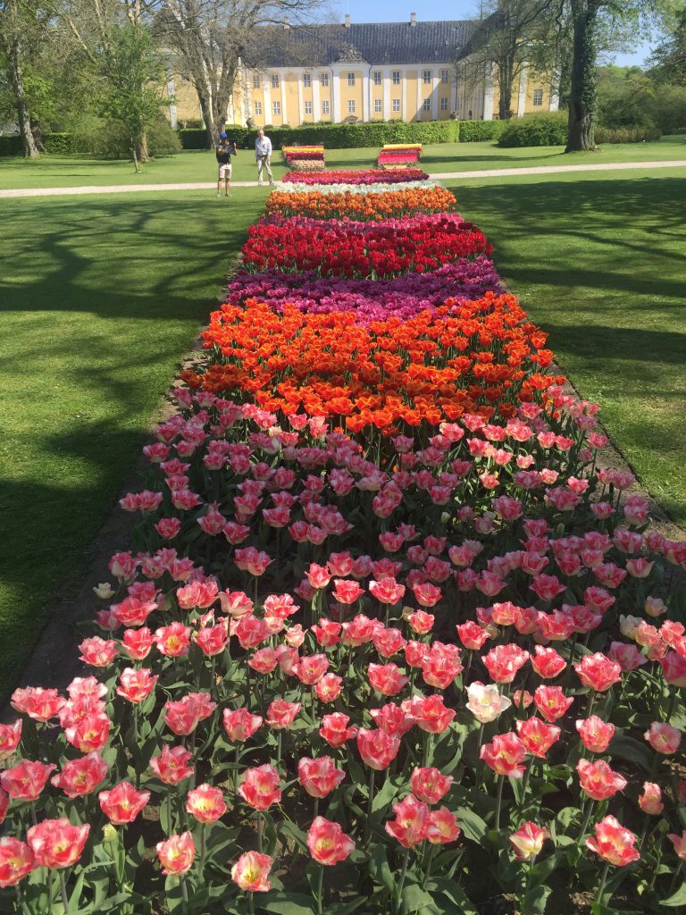 Tulpanutställning på Gavnø Slot.