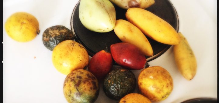 Frukt direkt från Madeira.