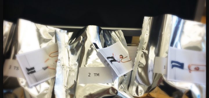 För ett seriöst chipstest behövs en expert.