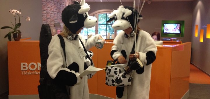 När Ben & Jerry's kossorna kommer med glass blir det fest.