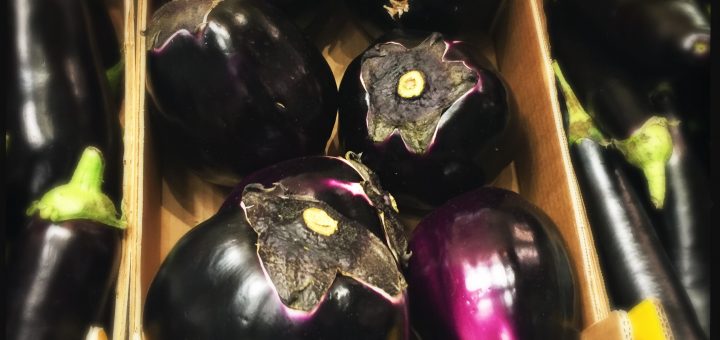 Runda italienska auberginer är de godaste!
