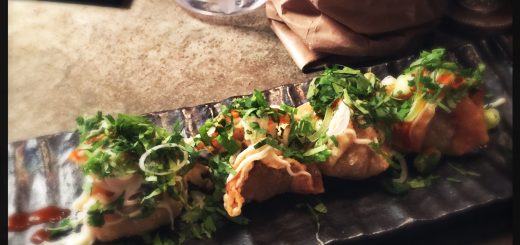 Friterade högrevsdumplings med koriander, chili, tryffelmajonnäs.