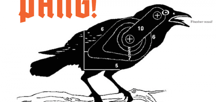 Ett säkert vårtecken: kråka på tennstopet