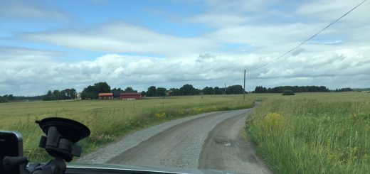 Vägen till roligare matlagning går via att komma över det gamla mantrat att det är så förbaskat tråkigt att laga mat bara till sig själv.