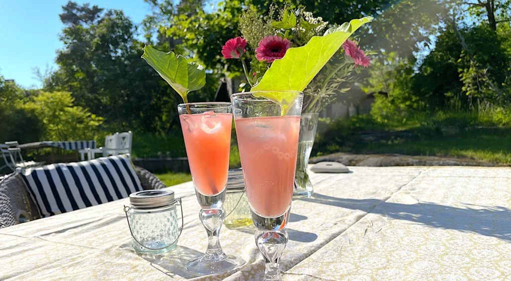 Recept på Rabarberbubbel! Ett festligt sätt att inleda en middag.
