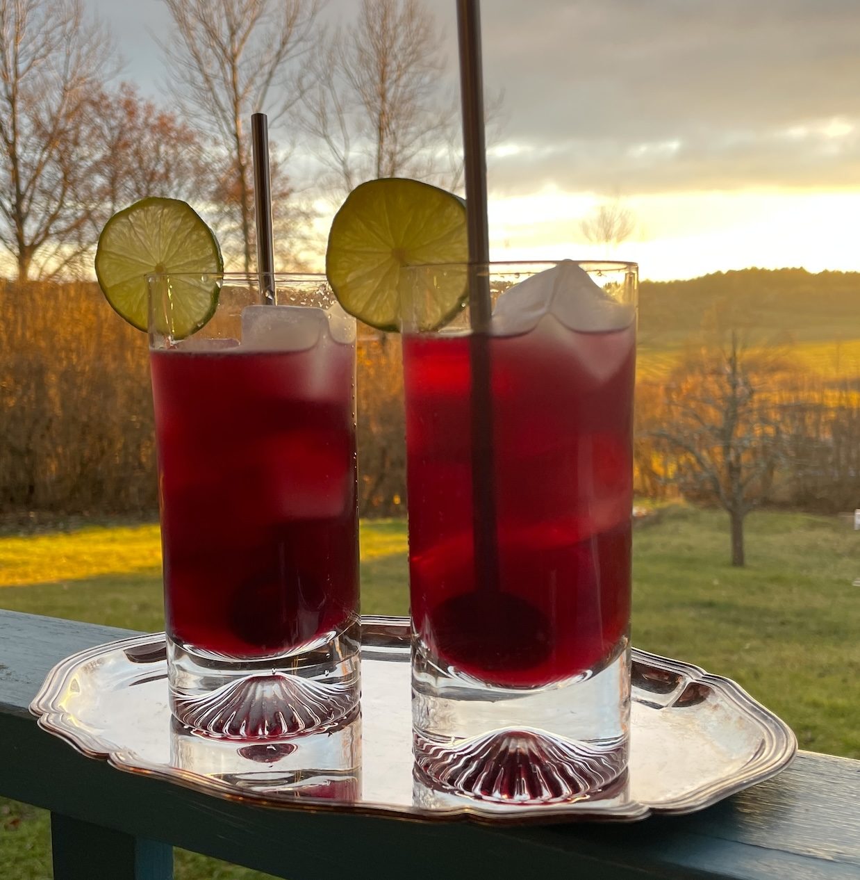 Blueberry Vodka