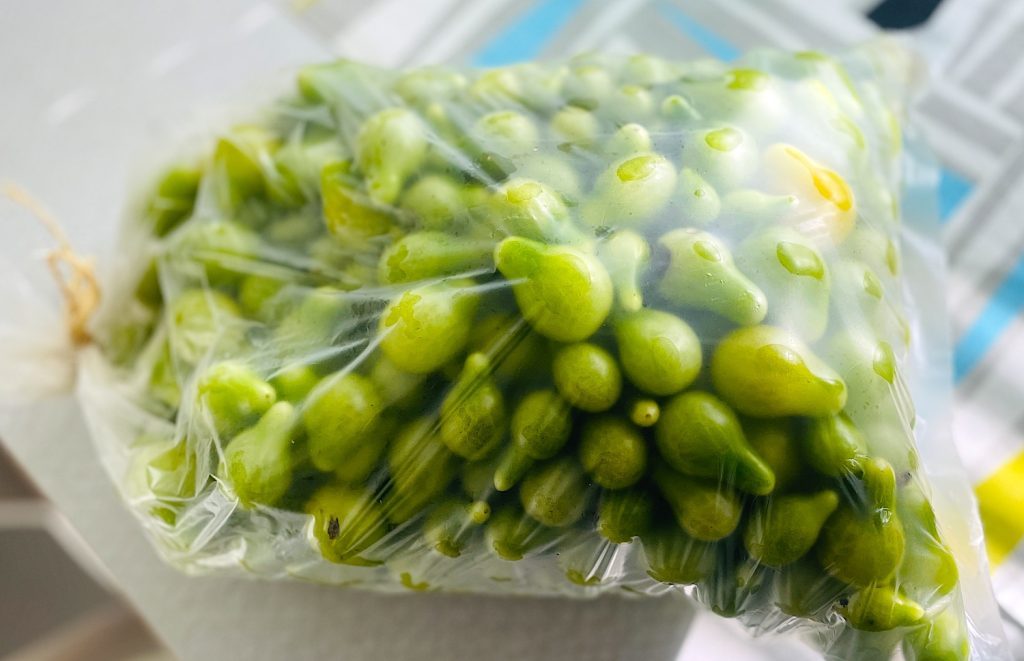 Nej det är inte krusbär. Det är små gröna tomater. Perfekta att göra marmelad på – OM du äger en hushållsapparat som kan hjälpa dig att skiva dem tunt.