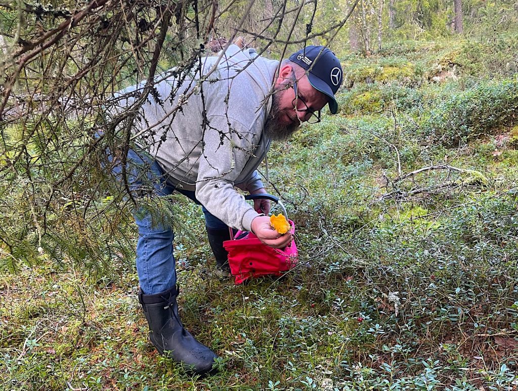 Svampglädjen är den sanna glädjen! Kantareller är också ganska lätta att skilja från all annan svamp, vilket är toppen när man är ny i svampskogen. Tomas visar här upp sitt senaste fynd.