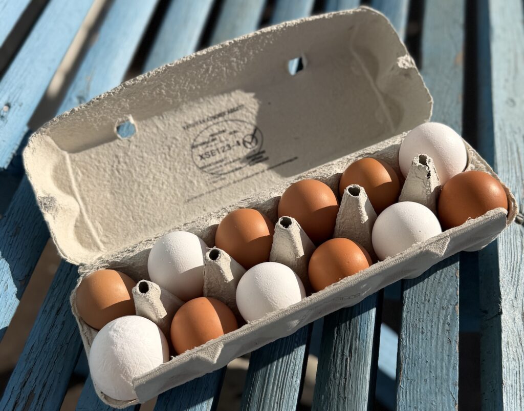 Jag köper vackra ägg i olika storlekar från vår granne i stugan.