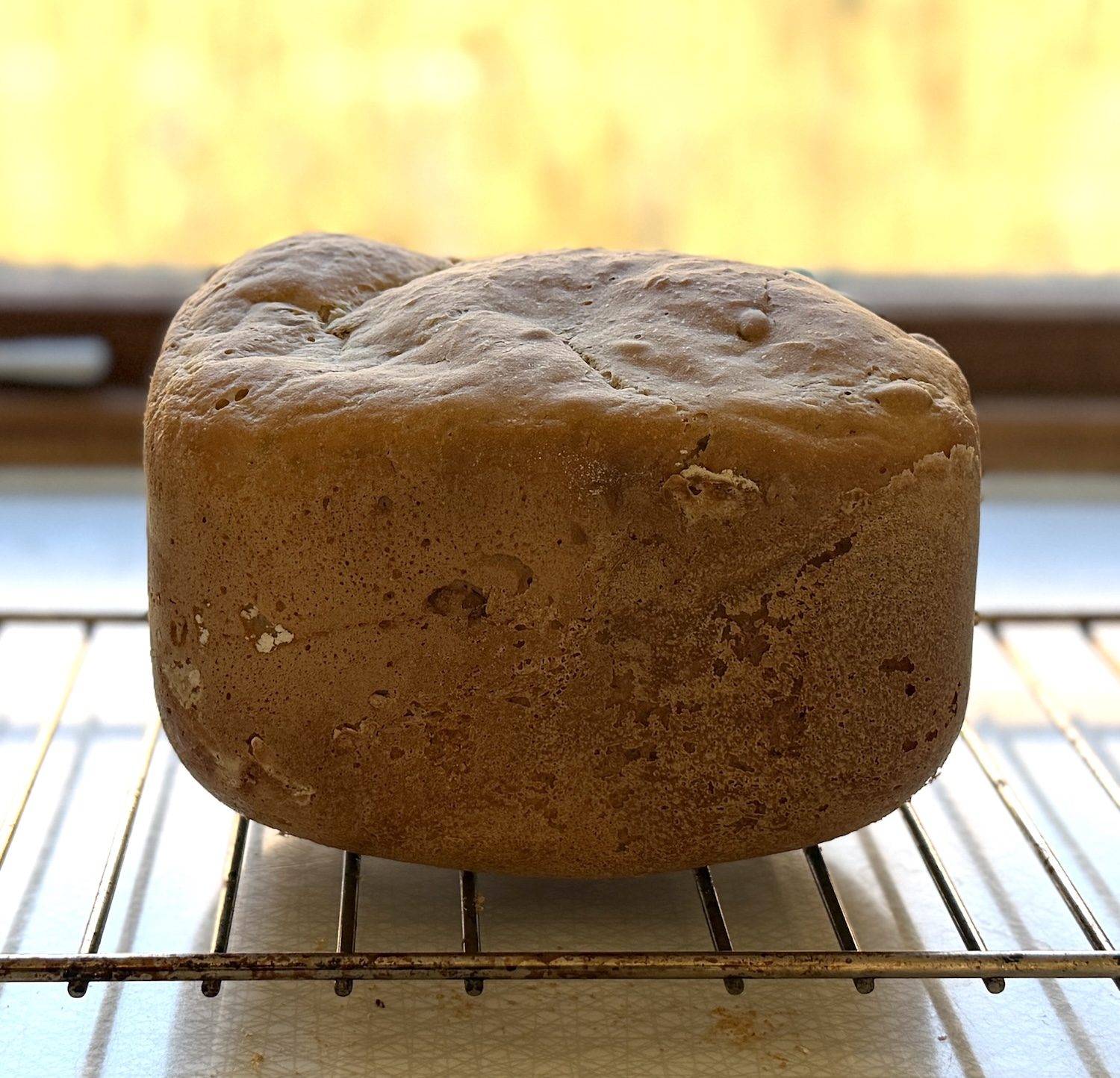 Bröd med pumpafrön för bakmaskin – enkelt recept